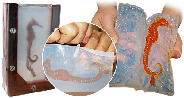 SORTA-Clear™ Series - Water Clear Translucent Silicone Rubber SORTA-Clear™ Series - Water Clear Translucent Silicone Rubber